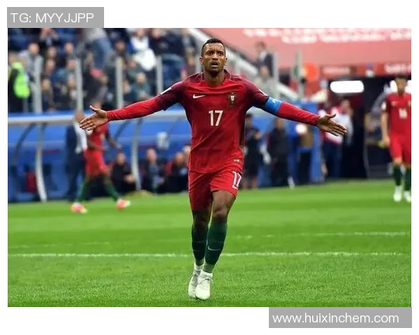 33号足球明星的传奇人生与辉煌成就全景回顾