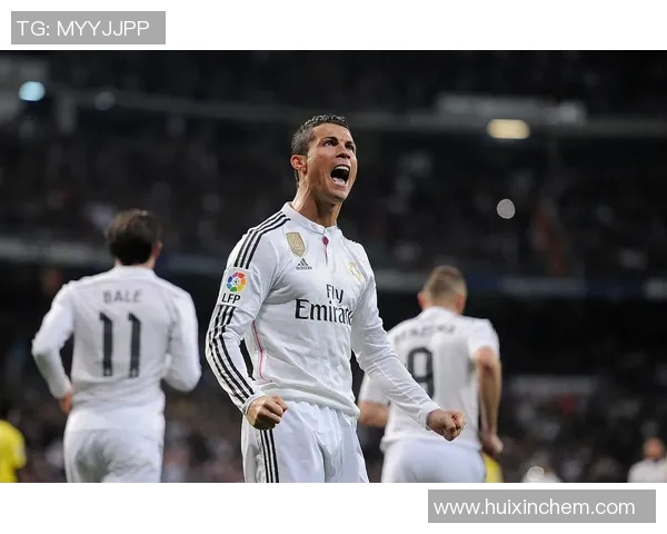 2013年足球界的璀璨明星盘点与他们的辉煌成就回顾